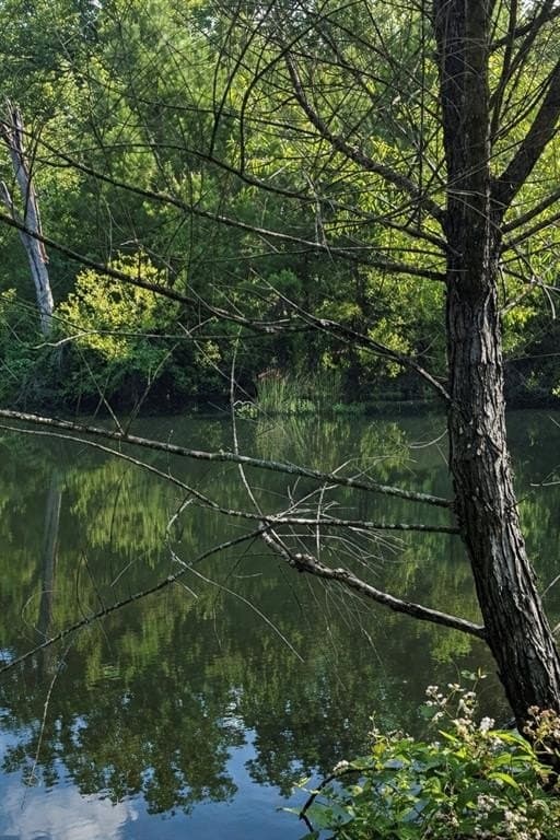 20 acres in Wood County gallery image 2