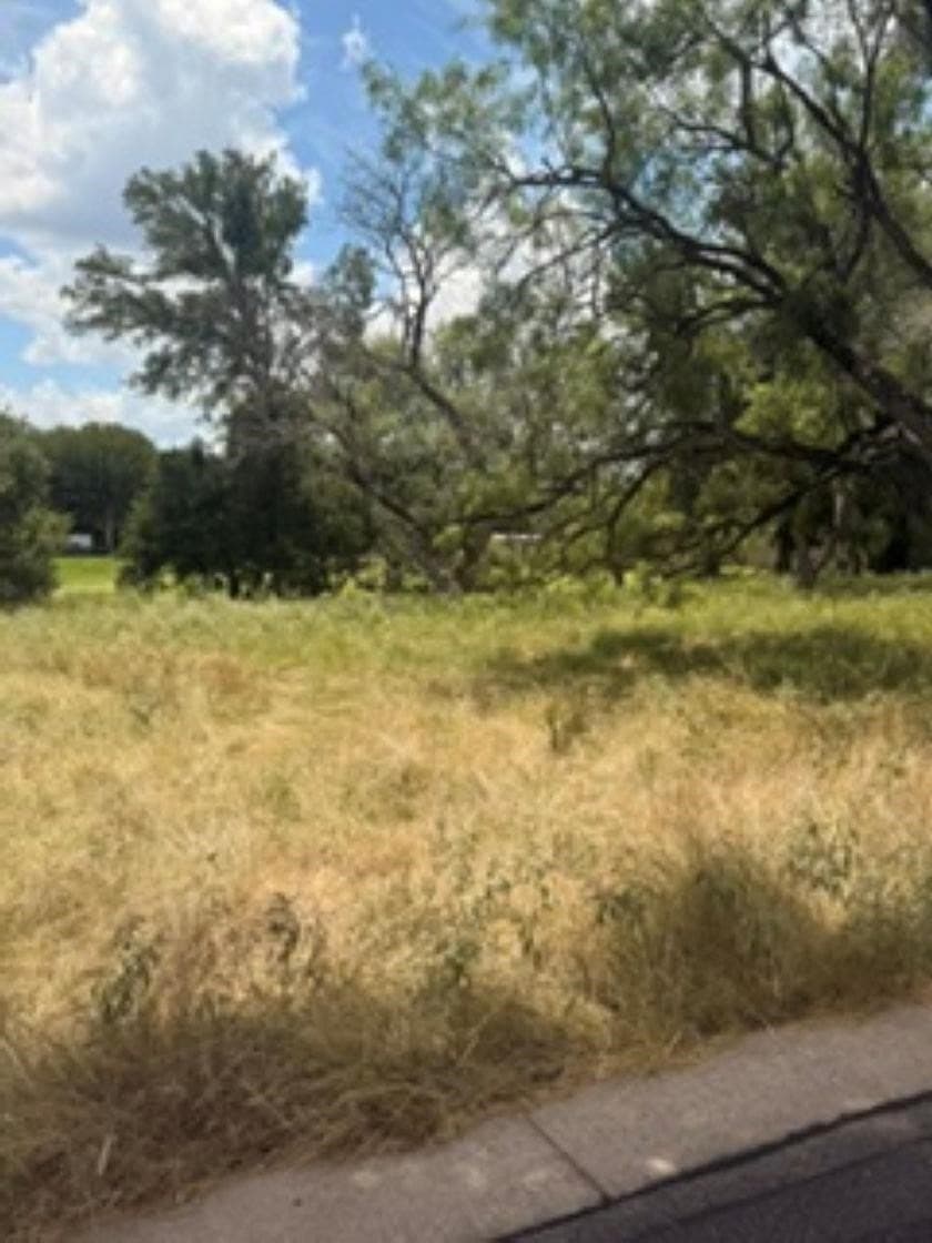 0.22 acres in Llano County - photo 5