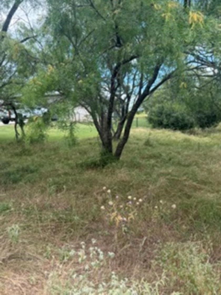 0.22 acres in Llano County - photo 4