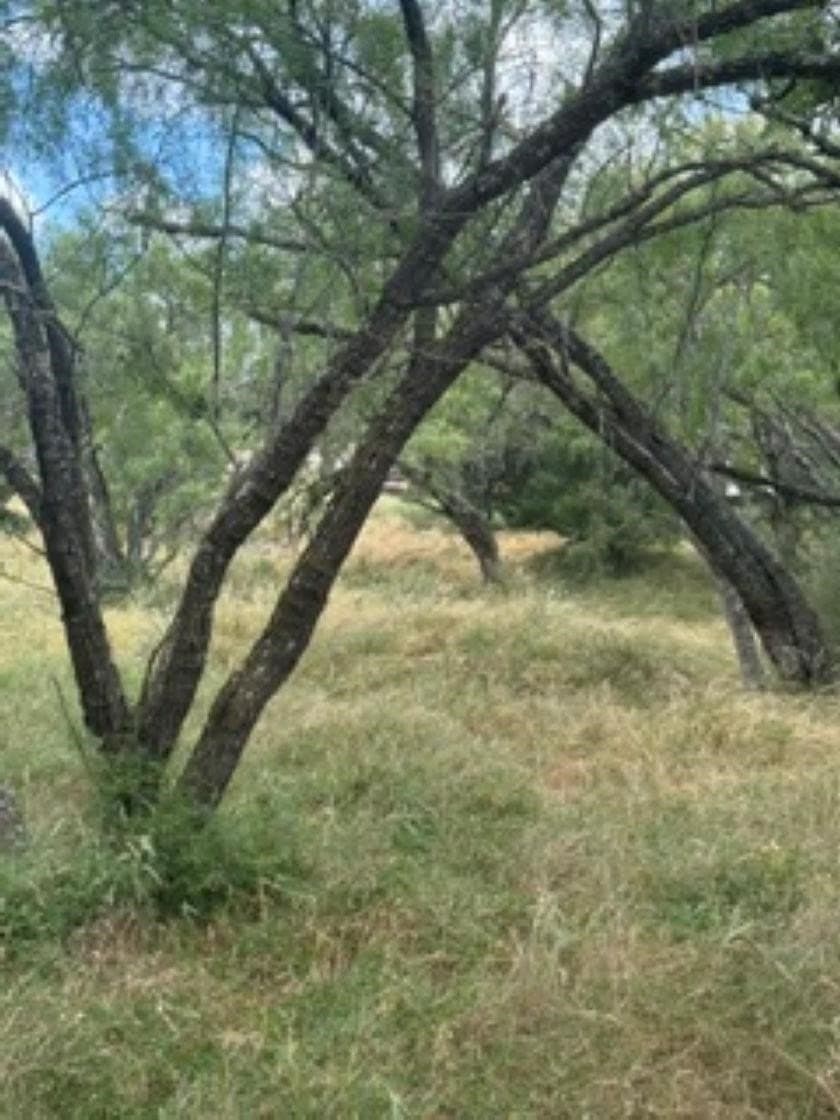 0.22 acres in Llano County - photo 3