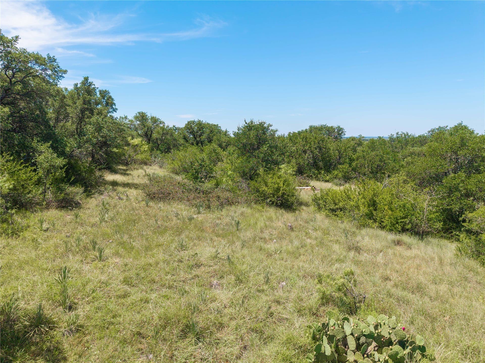 55 acres in Brown County - photo 14