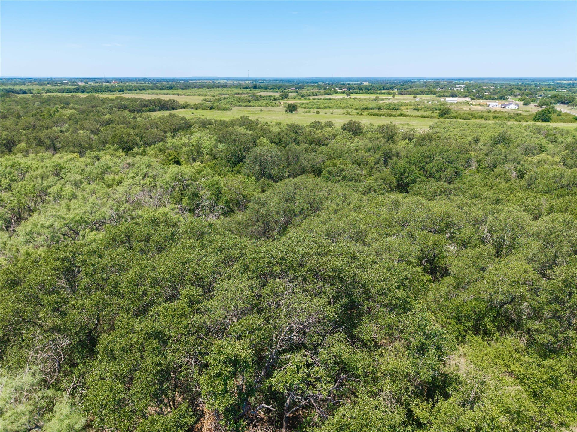 55 acres in Brown County - photo 20