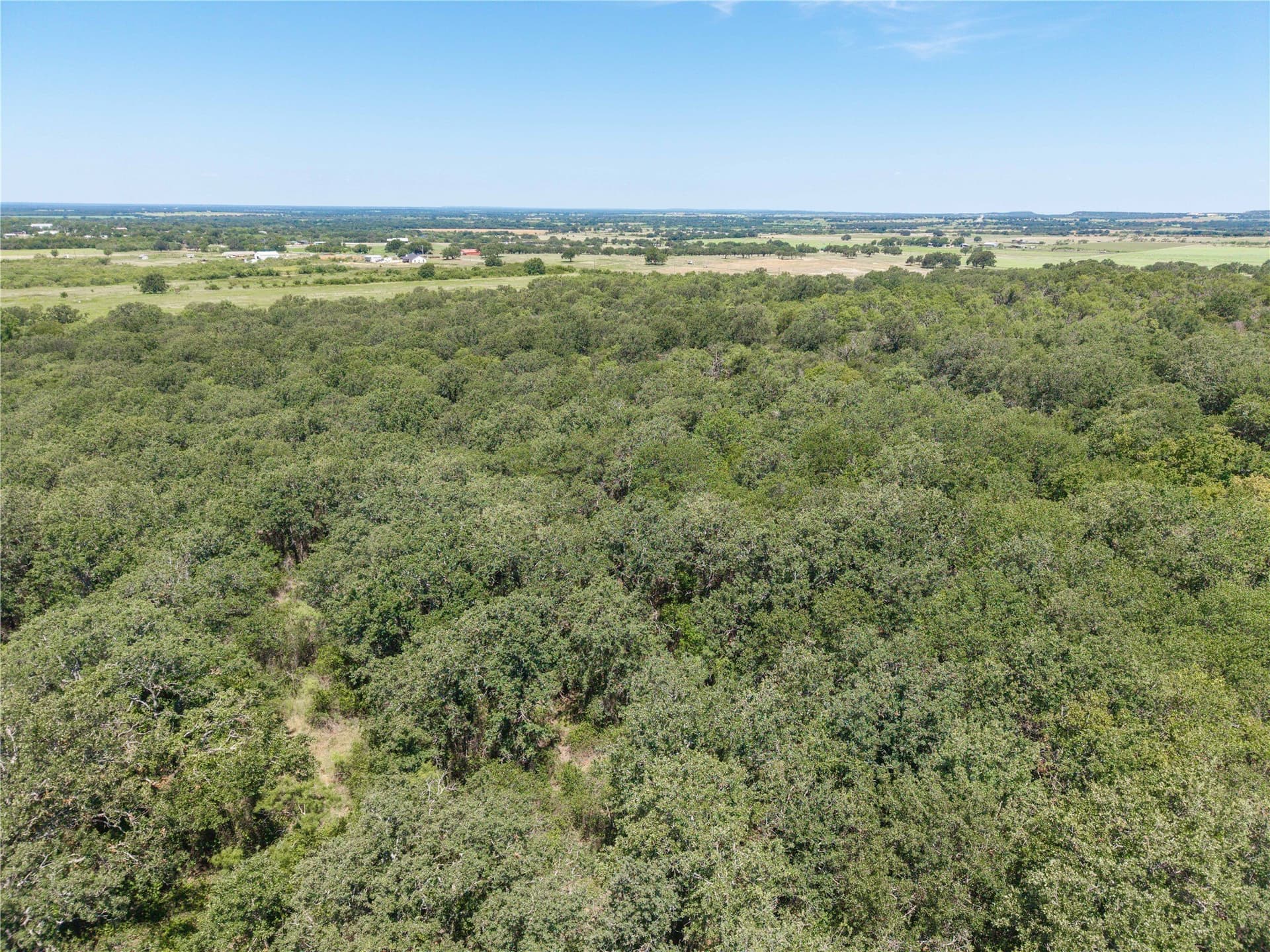 55 acres in Brown County - photo 15