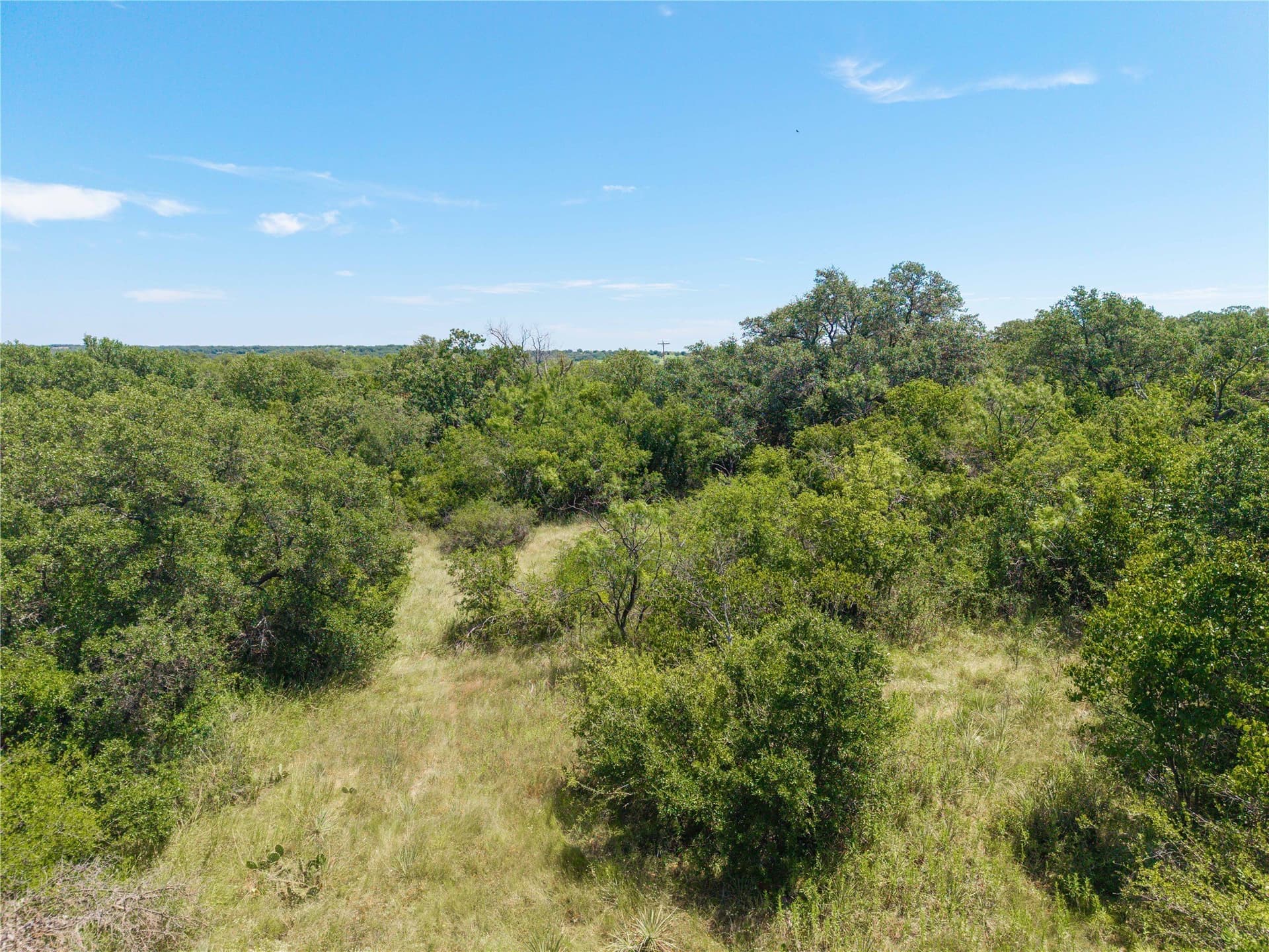 55 acres in Brown County - photo 6