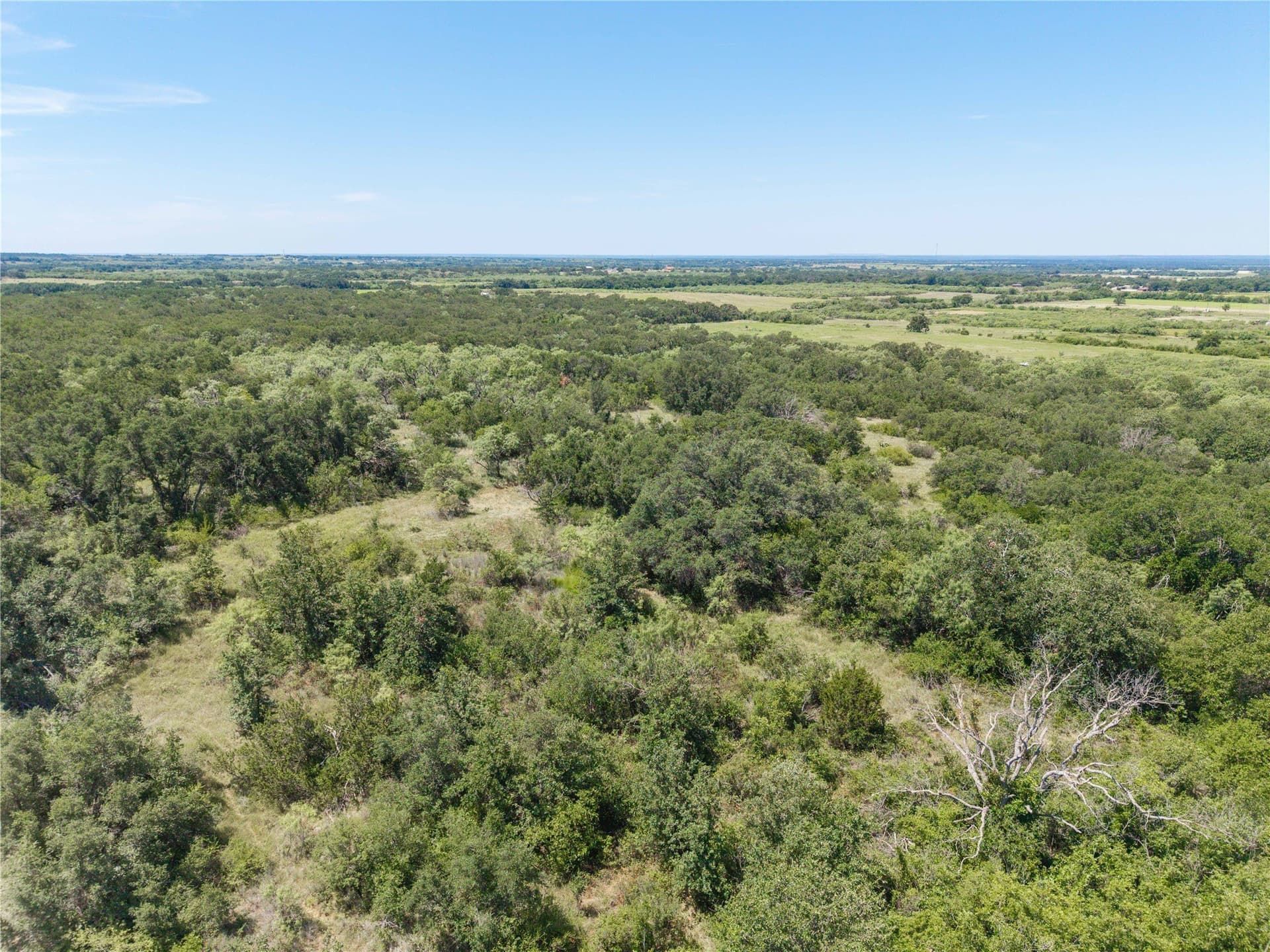 55 acres in Brown County - photo 8