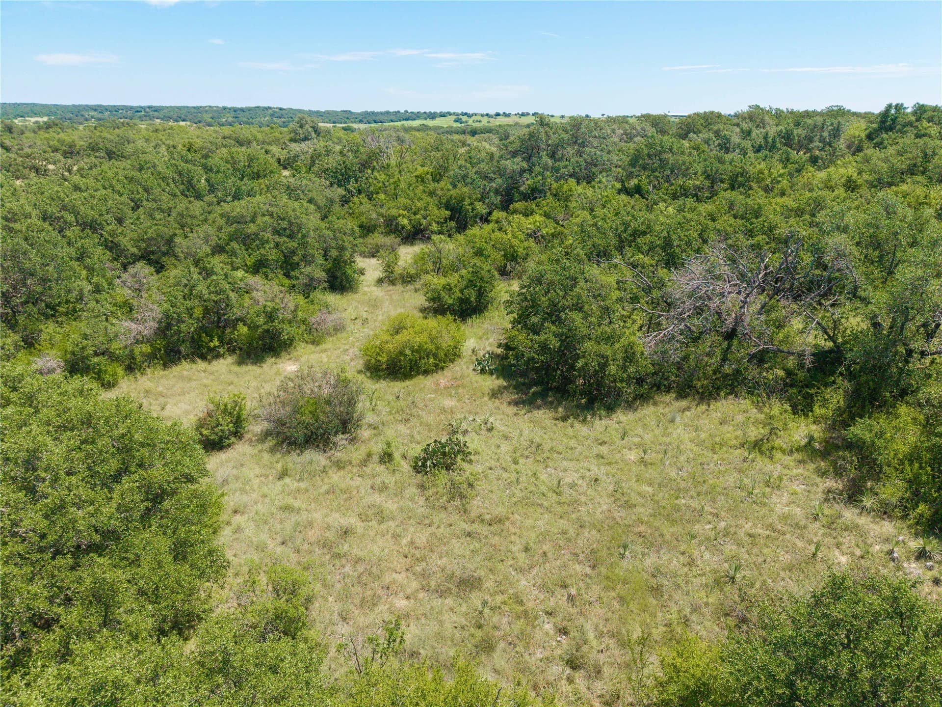 55 acres in Brown County - photo 23