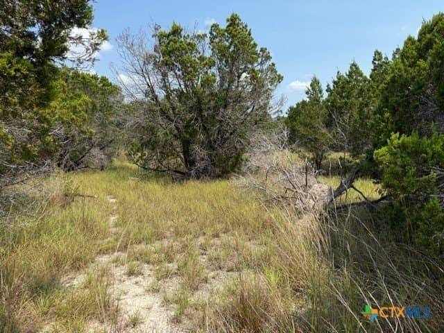 3.81 acres in Comal County - photo 7