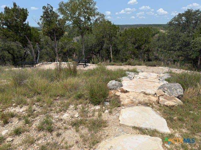3.81 acres in Comal County - photo 24