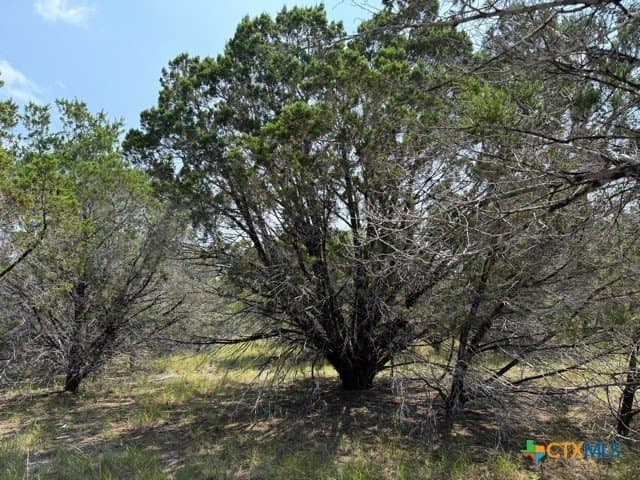 3.81 acres in Comal County - photo 8