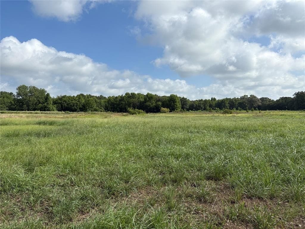 20 acres in Franklin (TX) County gallery image 4