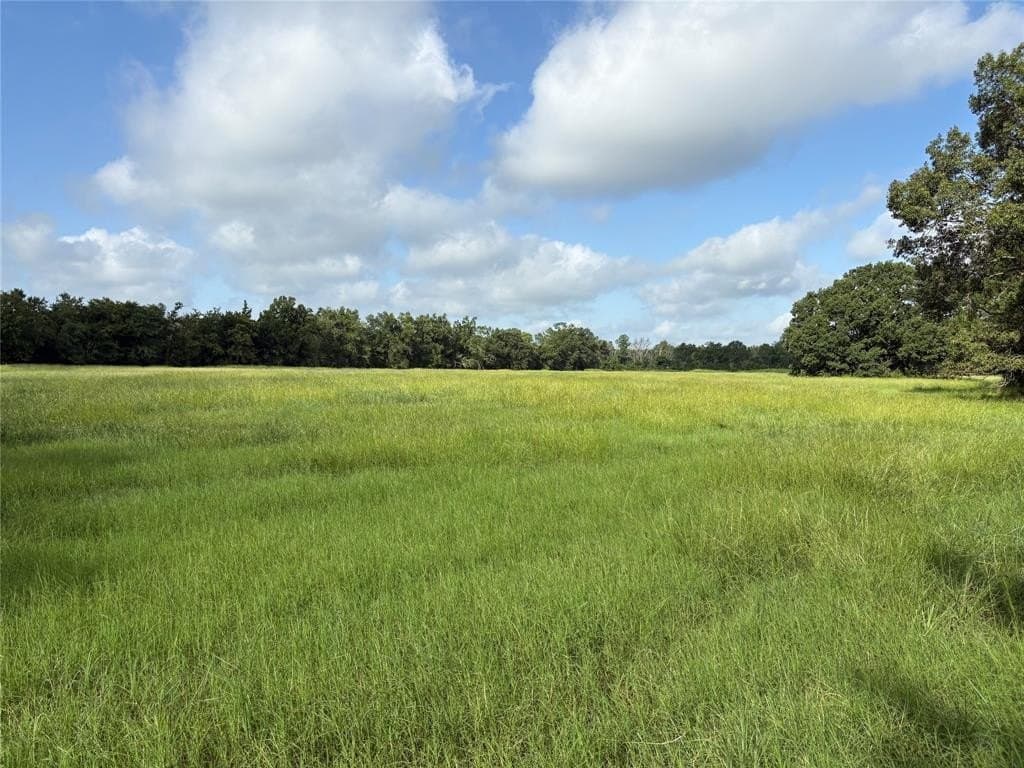 20 acres in Franklin (TX) County gallery image 2