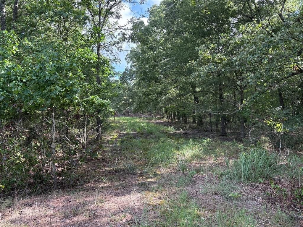 20 acres in Franklin (TX) County featured view