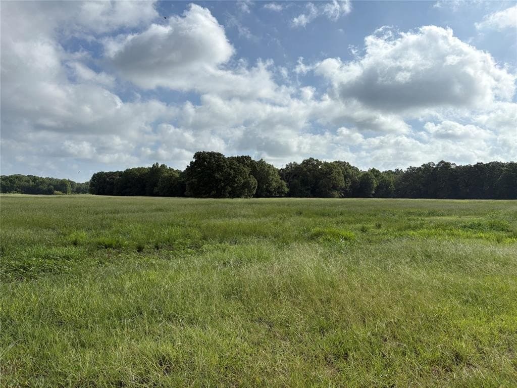 20 acres in Franklin (TX) County gallery image 3