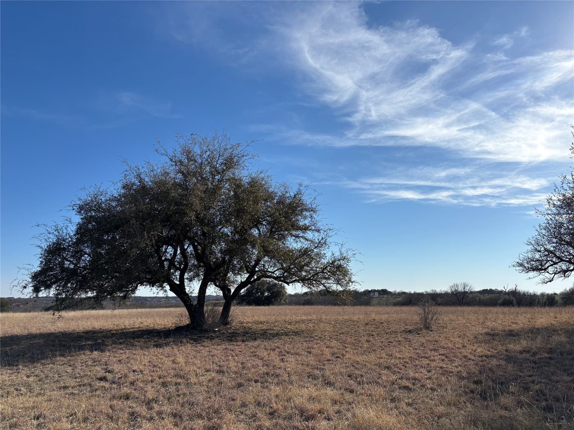5 acres in Comanche County gallery image 4