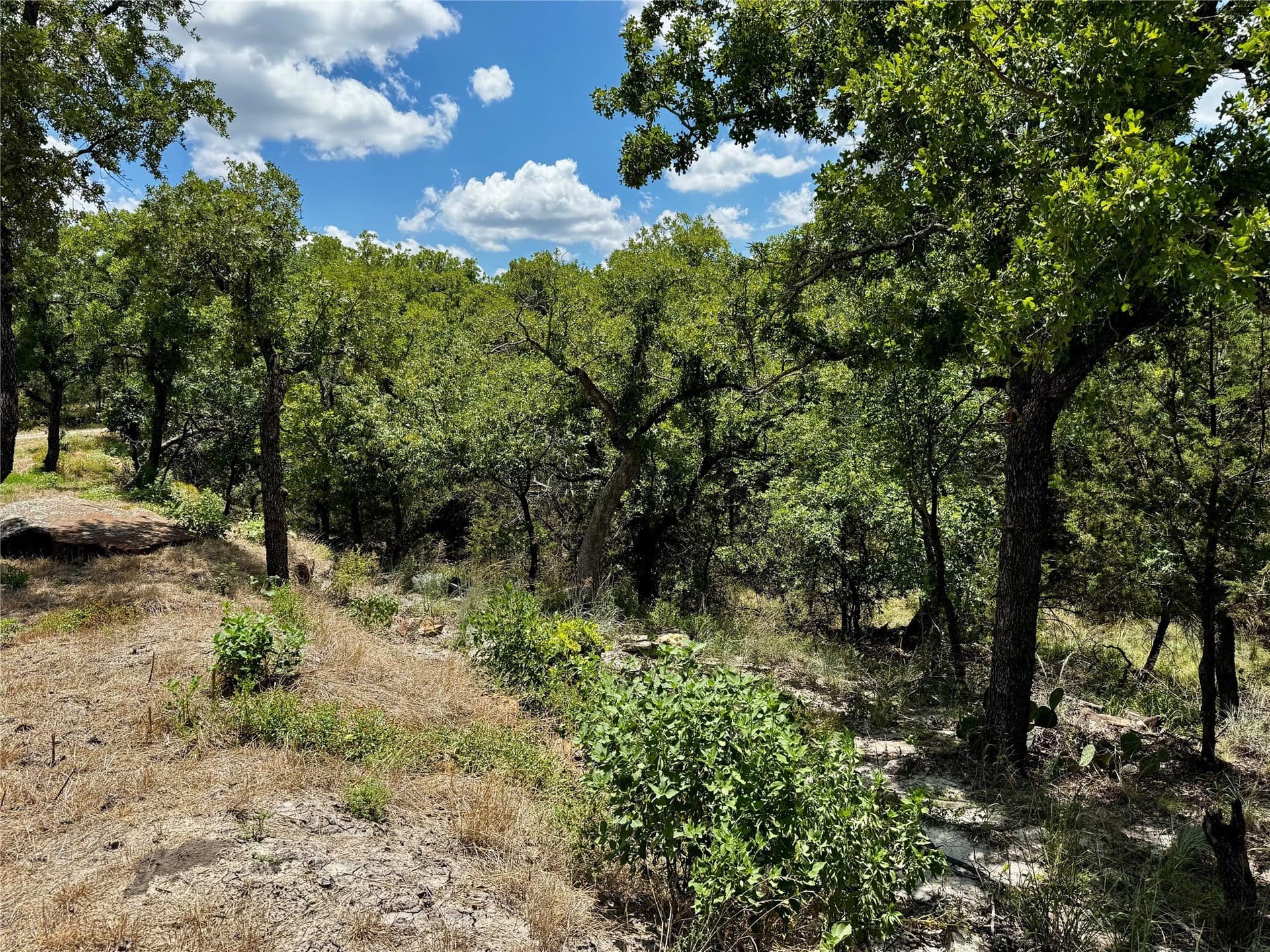 1.32 acres in Palo Pinto County - photo 4