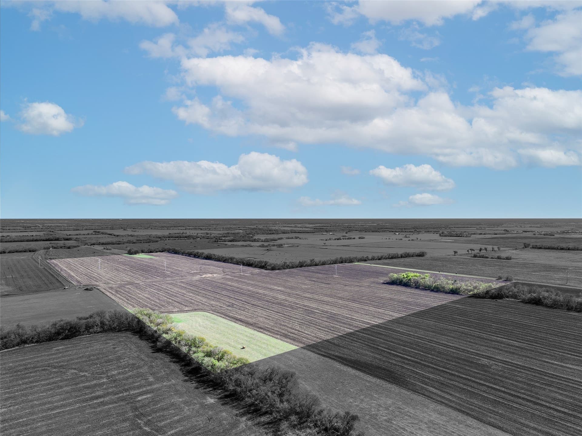 80 acres in Hunt County - photo 16
