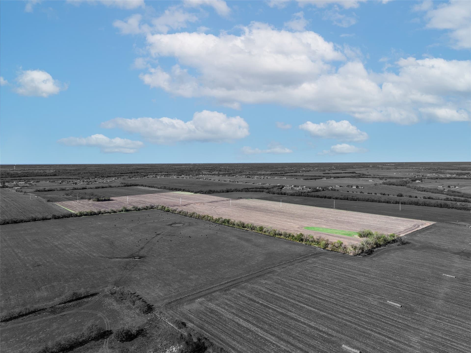 80 acres in Hunt County - photo 6