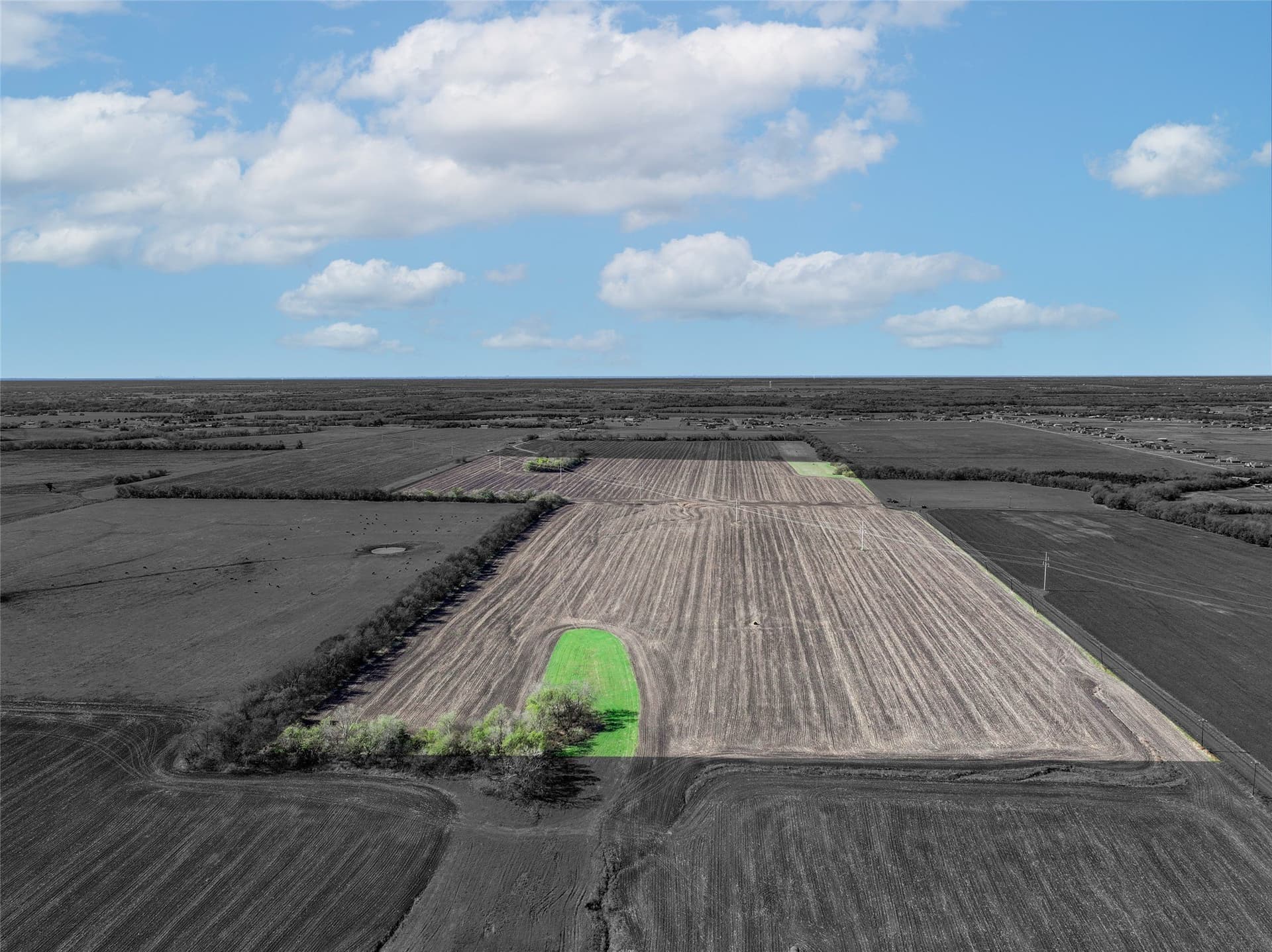 80 acres in Hunt County - photo 4