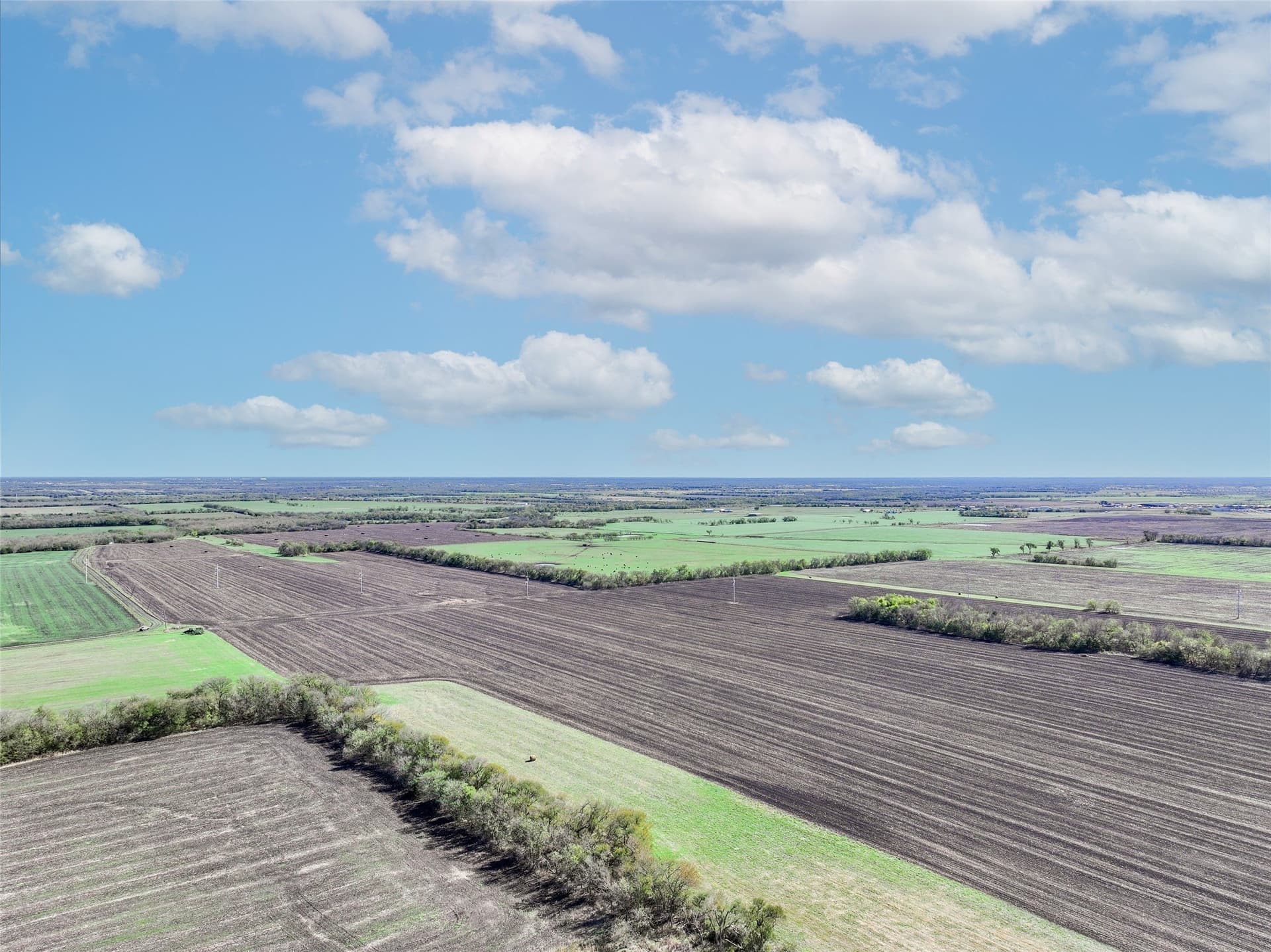80 acres in Hunt County - photo 15