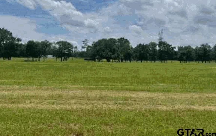 11.88 acres in Titus County
