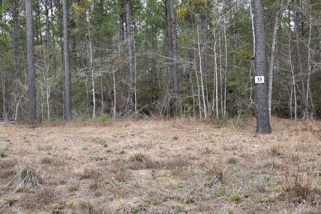 15.5 acres in Texas County - photo 16