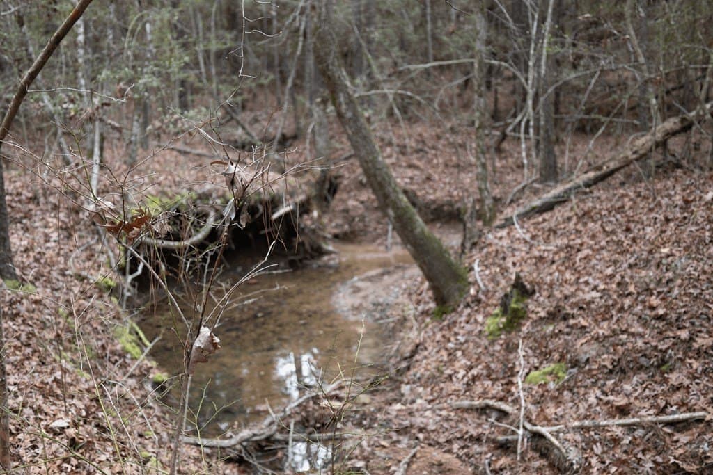 15.5 acres in Texas County - photo 15