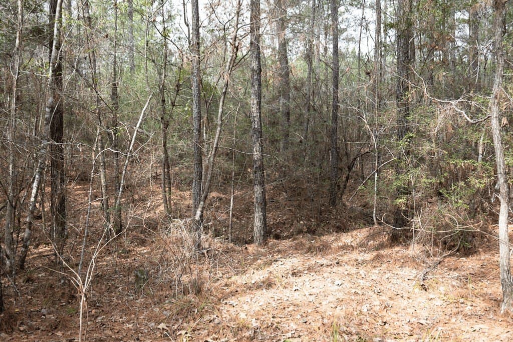 15.5 acres in Texas County - photo 12