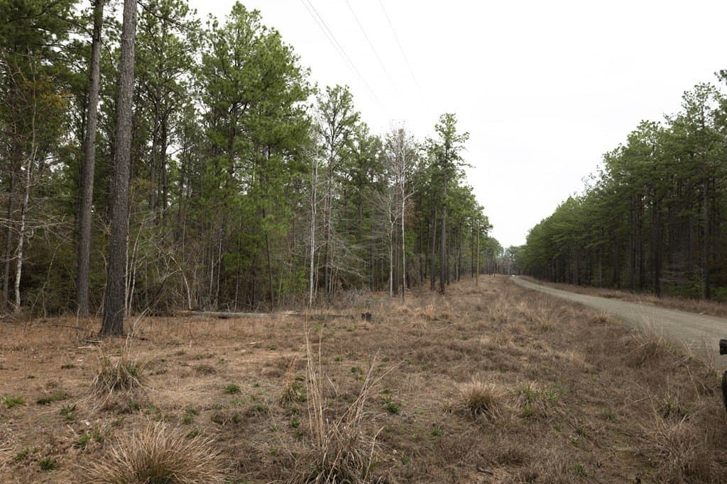 15.5 acres in Texas County gallery image 2