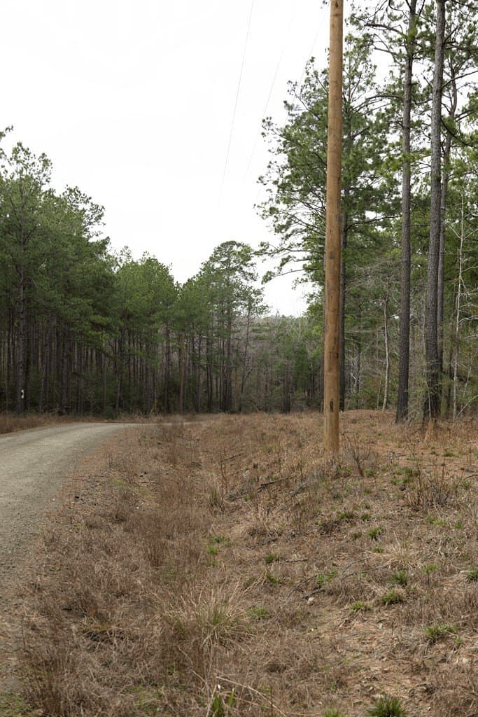 15.5 acres in Texas County gallery image 3