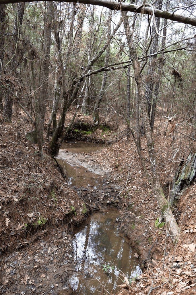 15.5 acres in Texas County - photo 13