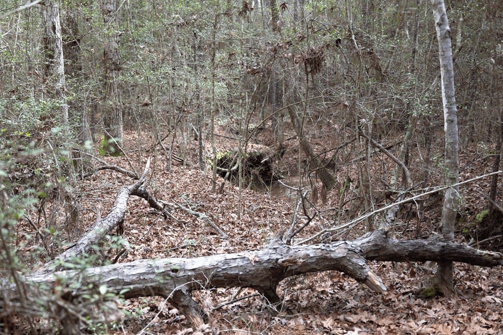 15.5 acres in Texas County - photo 14