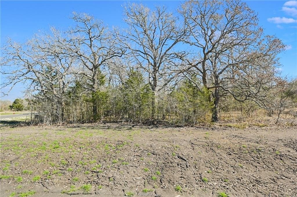 1.03 acres in Brazos County gallery image 4