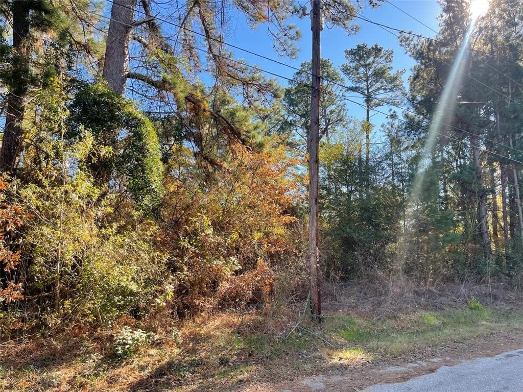 0.12 acres in Henderson County gallery image 3