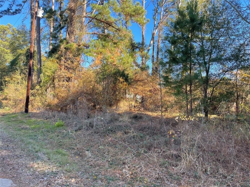 0.12 acres in Henderson County gallery image 4