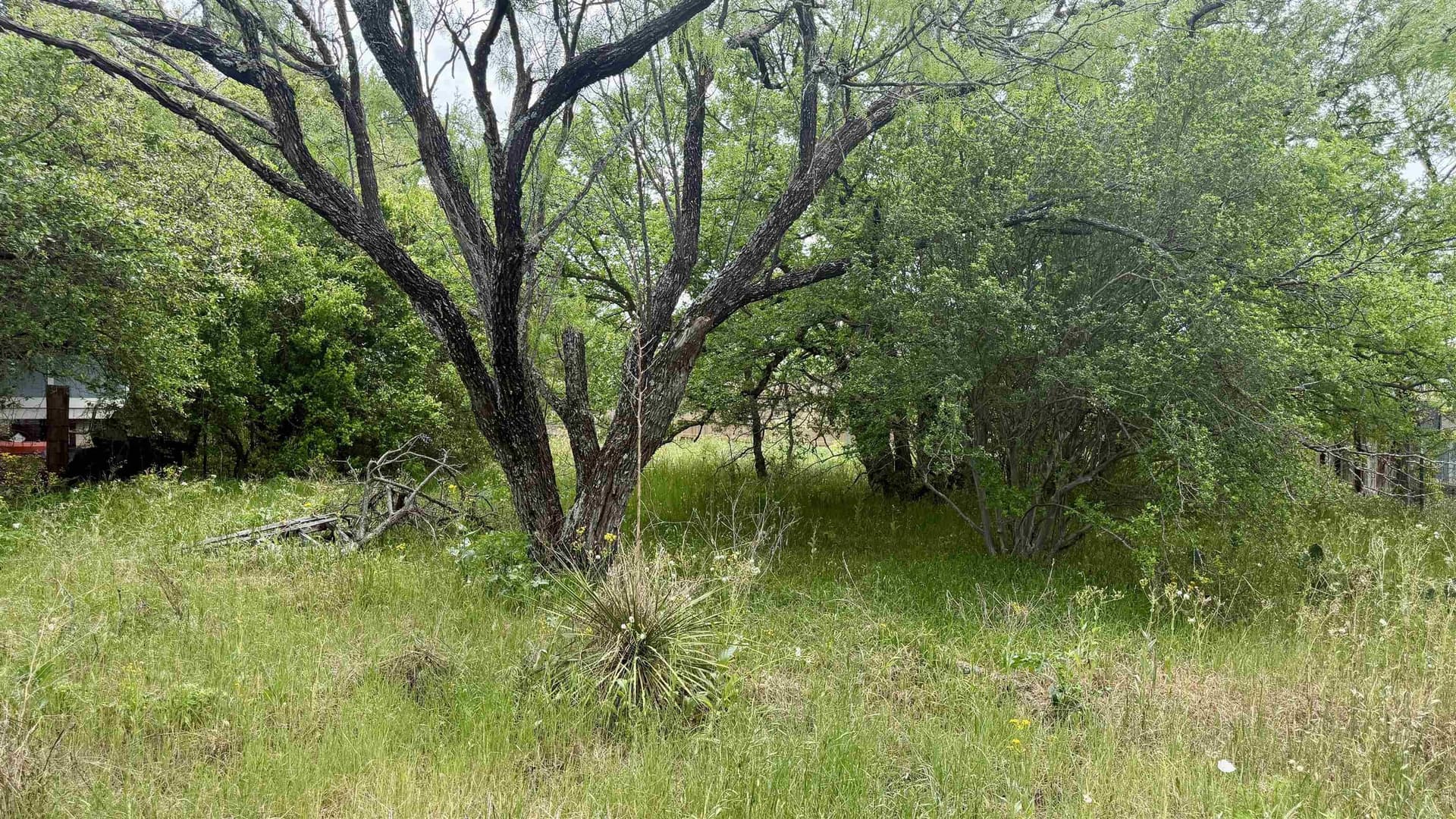 0.11 acres in Llano County gallery image 3
