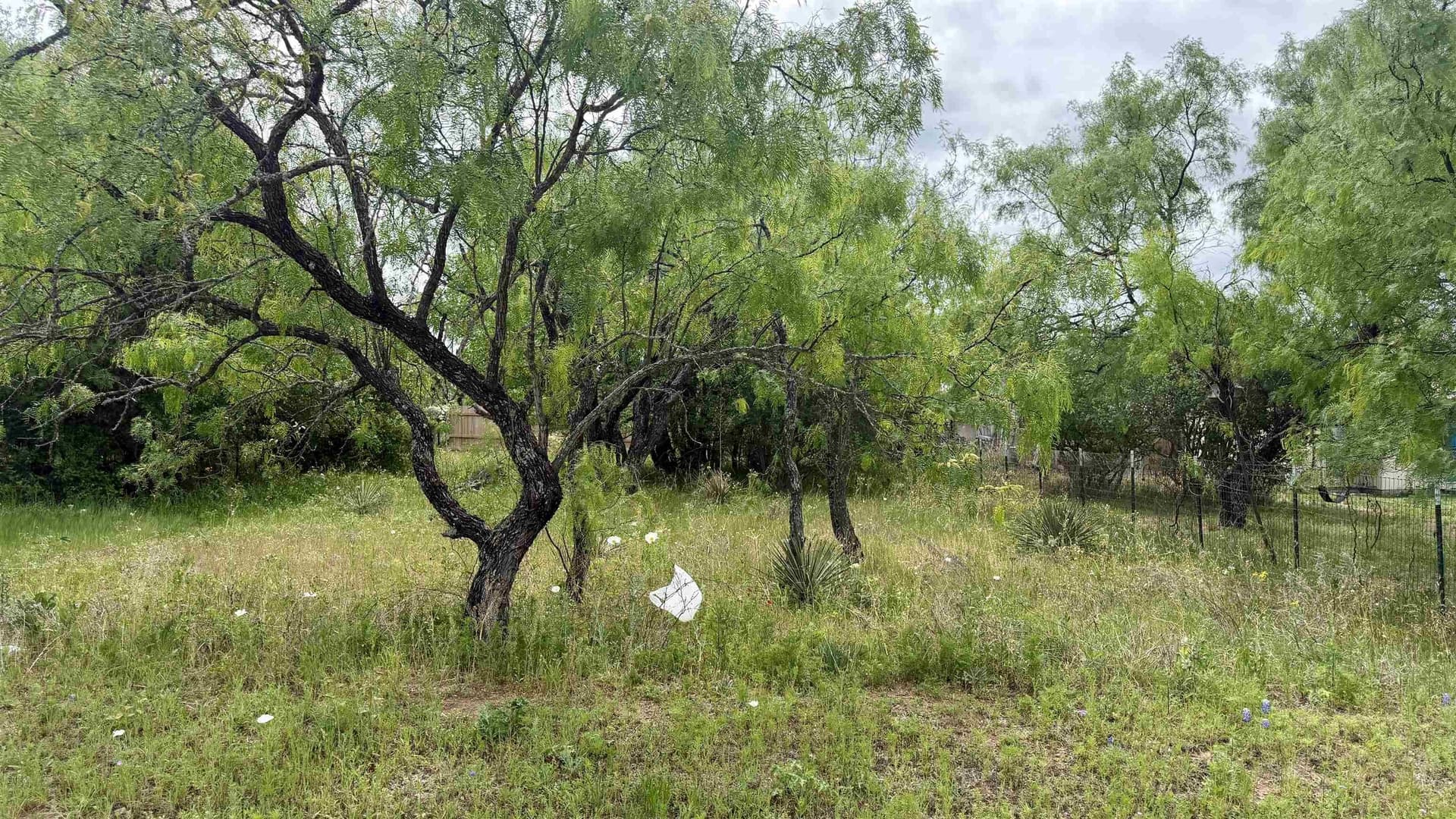 0.11 acres in Llano County gallery image 2