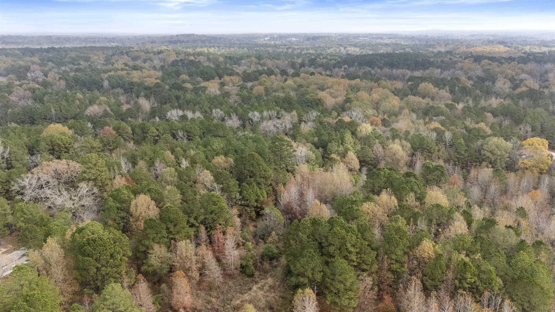87 acres in Gregg County featured view