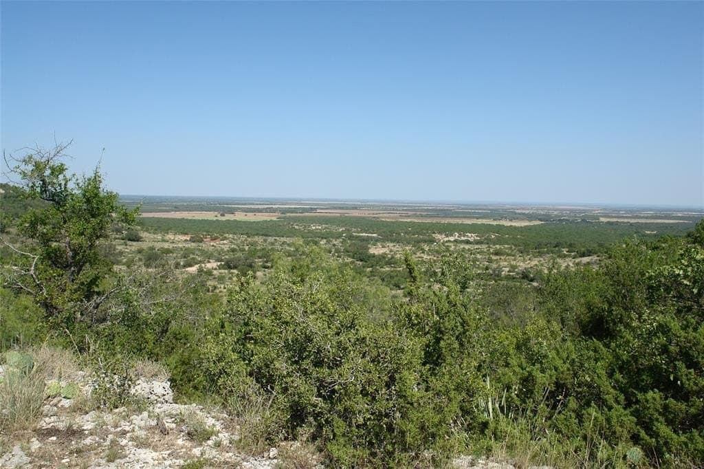 110 acres in McCulloch County gallery image 3