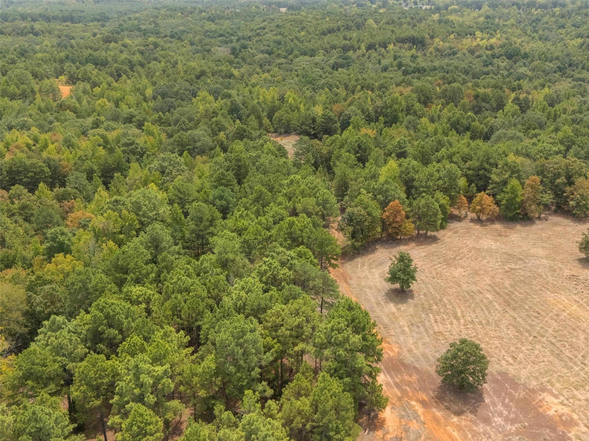 55 acres in Upshur County - photo 14