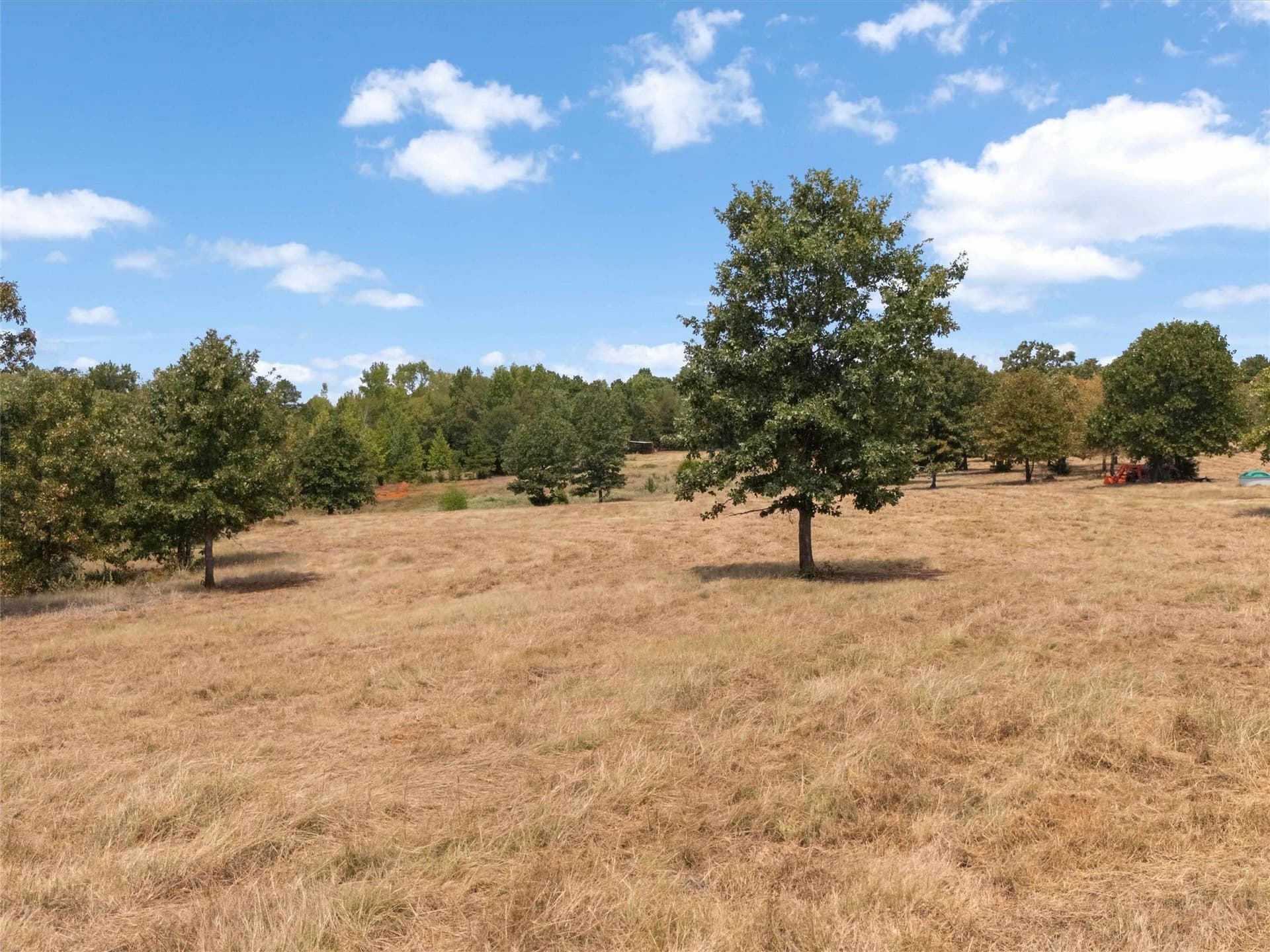 55 acres in Upshur County - photo 4