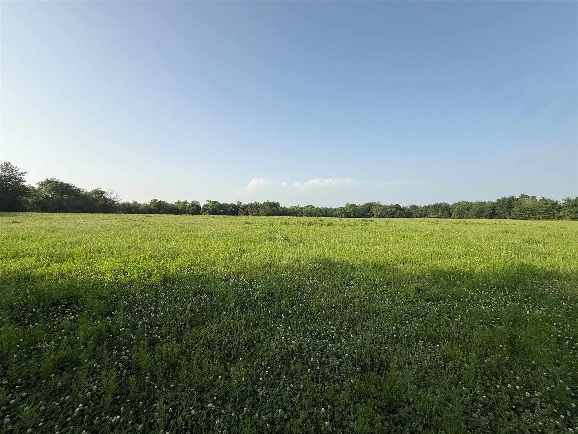 10 acres in Hopkins County featured view