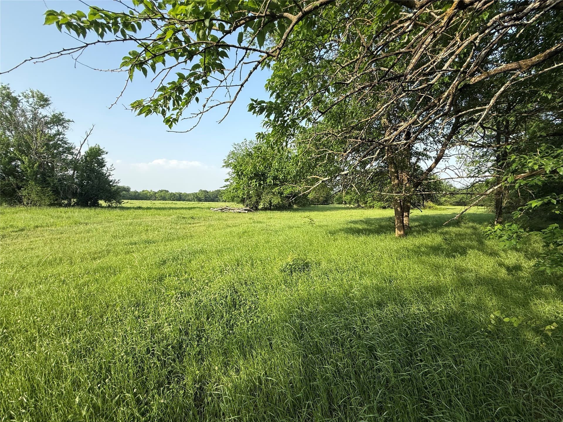 10 acres in Hopkins County - photo 9