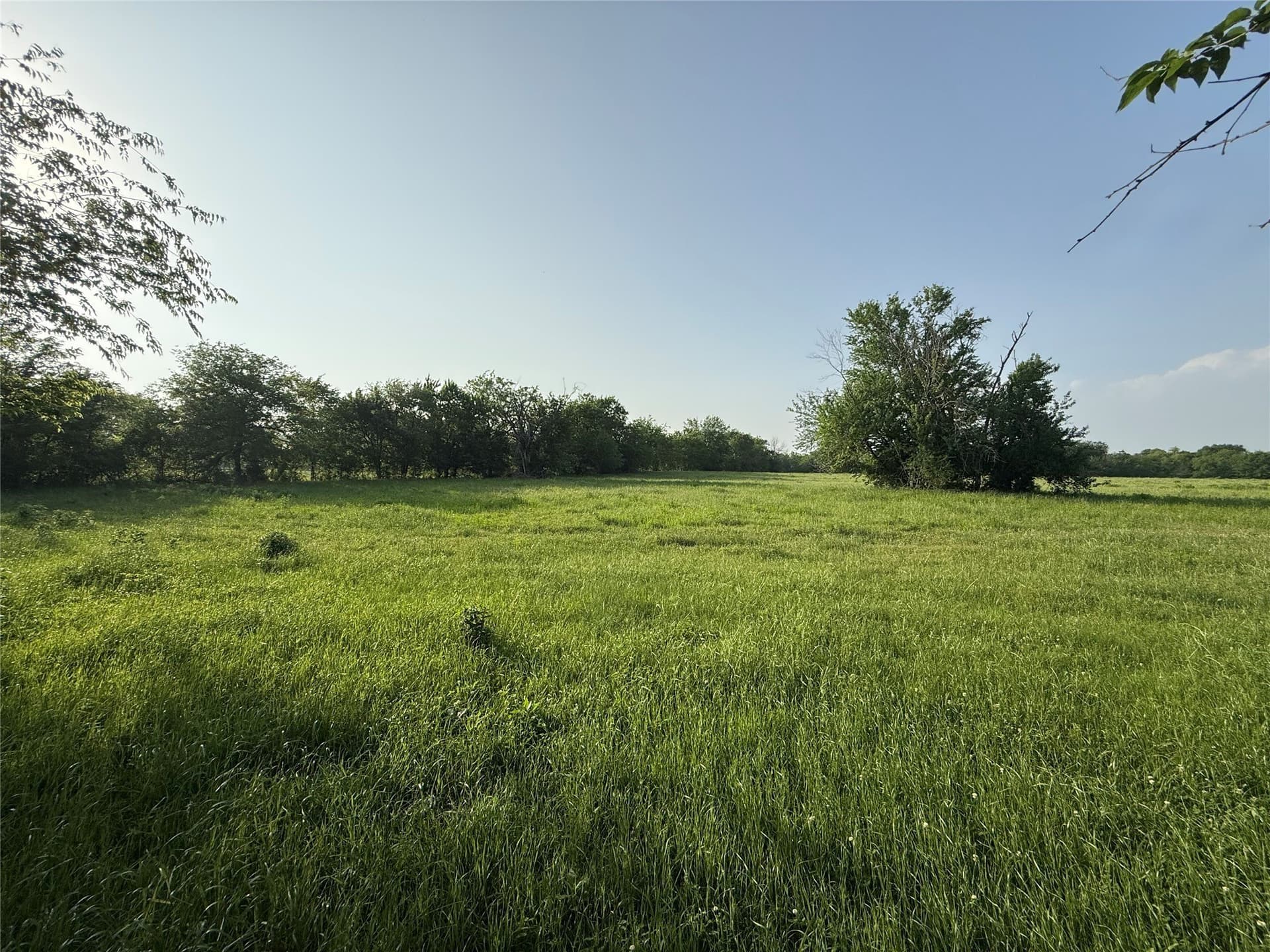 10 acres in Hopkins County gallery image 2