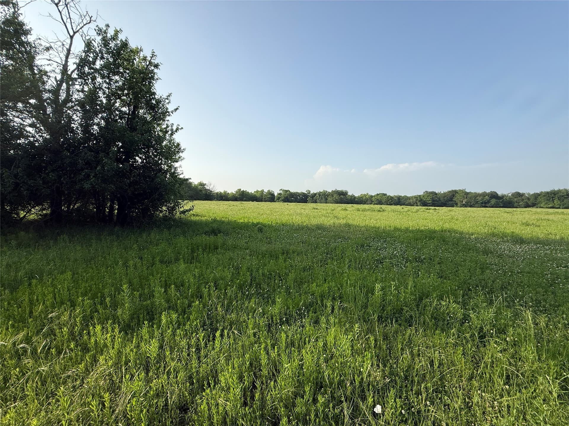 10 acres in Hopkins County - photo 8