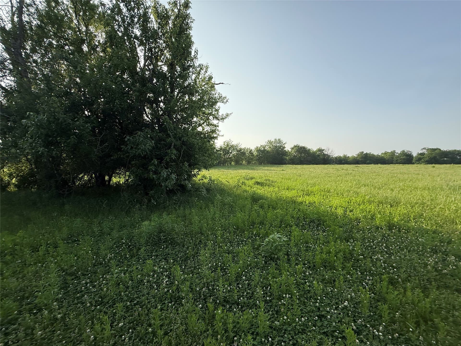 10 acres in Hopkins County - photo 7