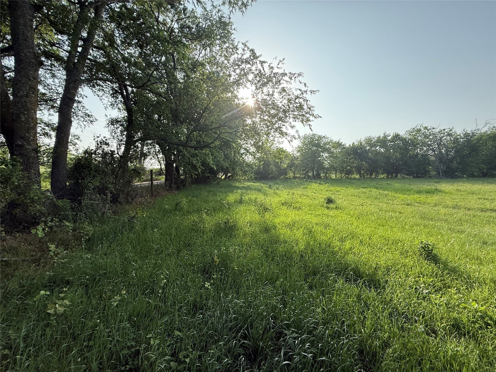 10 acres in Hopkins County - photo 10