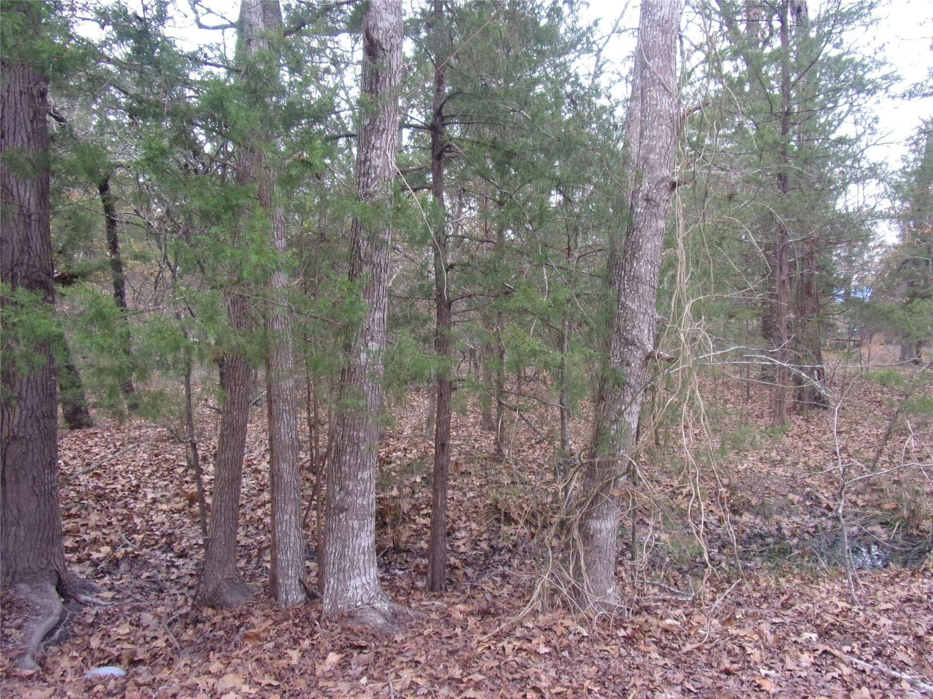 0.24 acres in Van Zandt County - photo 3