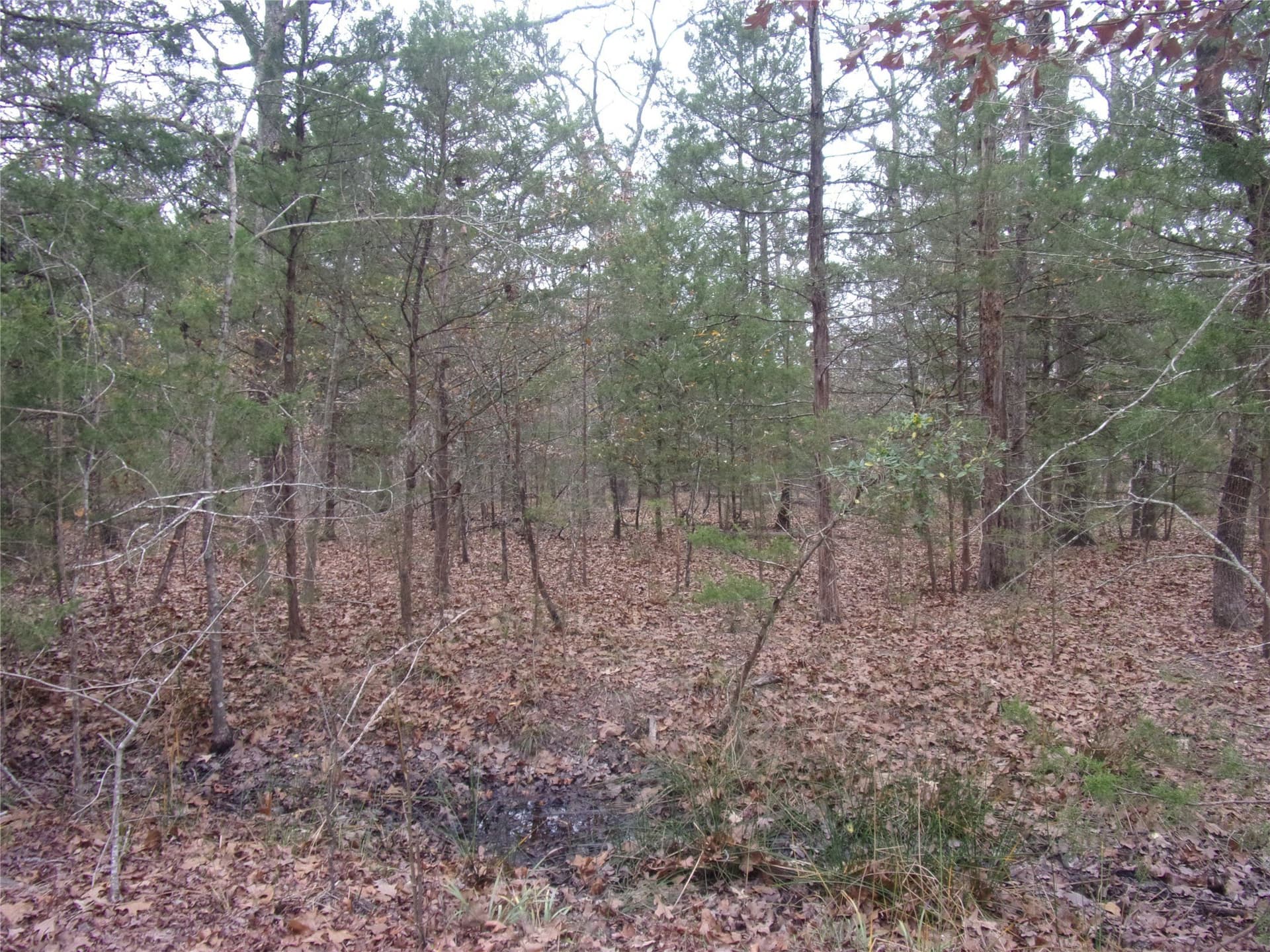 0.24 acres in Van Zandt County - photo 4