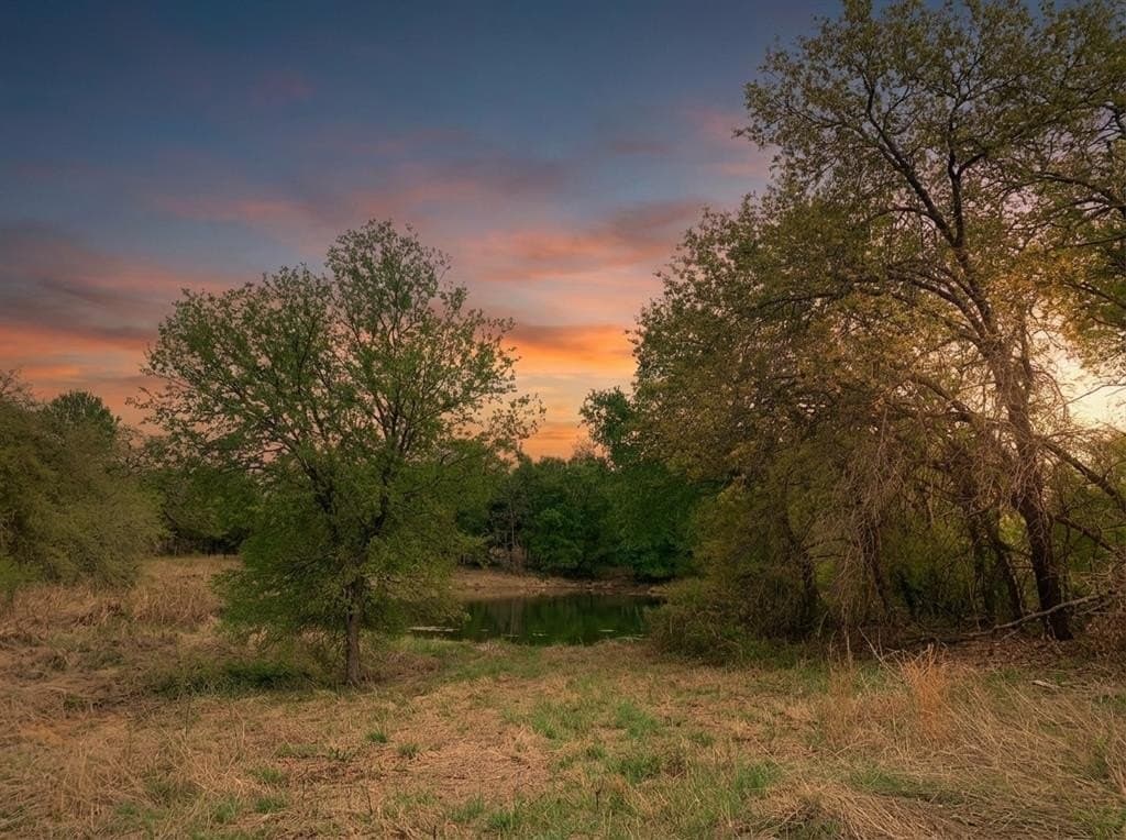 4.03 acres in Somervell County gallery image 2