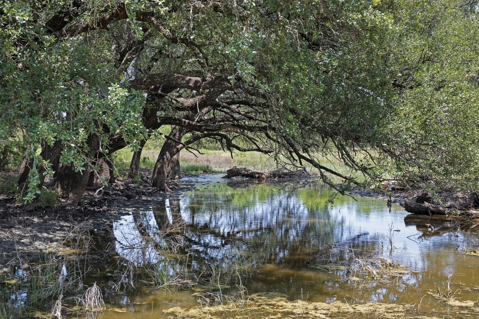 166.88 acres in McCulloch County - photo 36